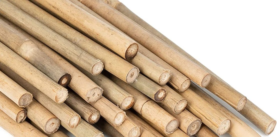 bamboo stake