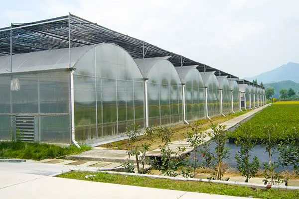 Greenhouse Film