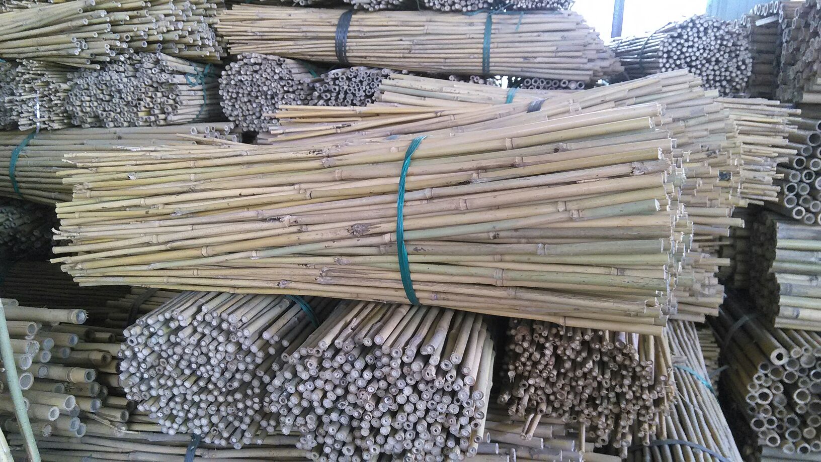 small bamboo stakes