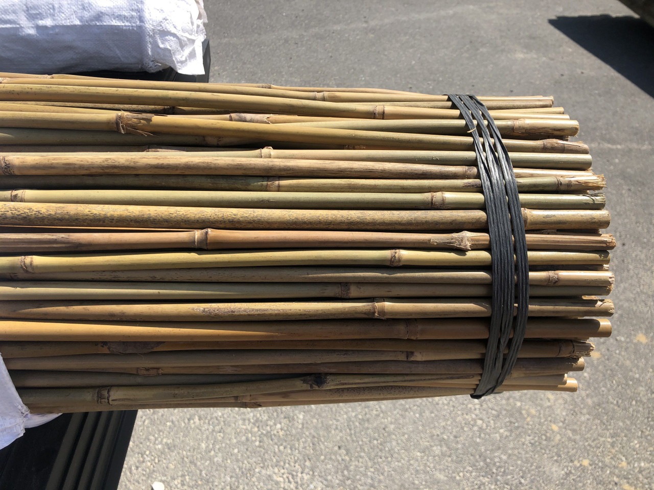 bamboo stakes for trees
