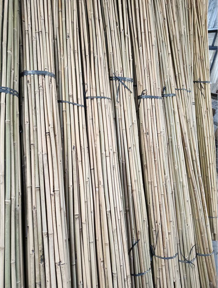 bamboo plant stake