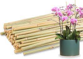 bamboo flower stakes