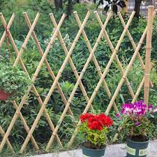 bamboo stakes garden