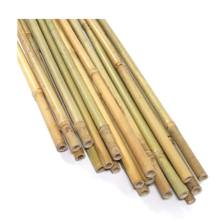 bamboo stakes wholesale