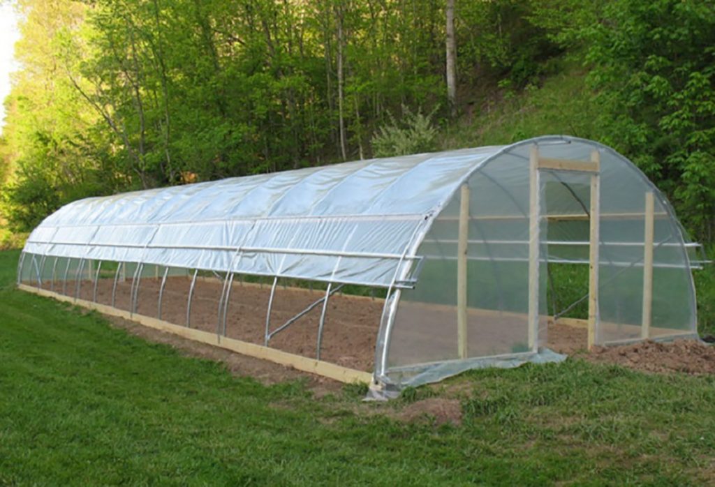 Greenhouse Film