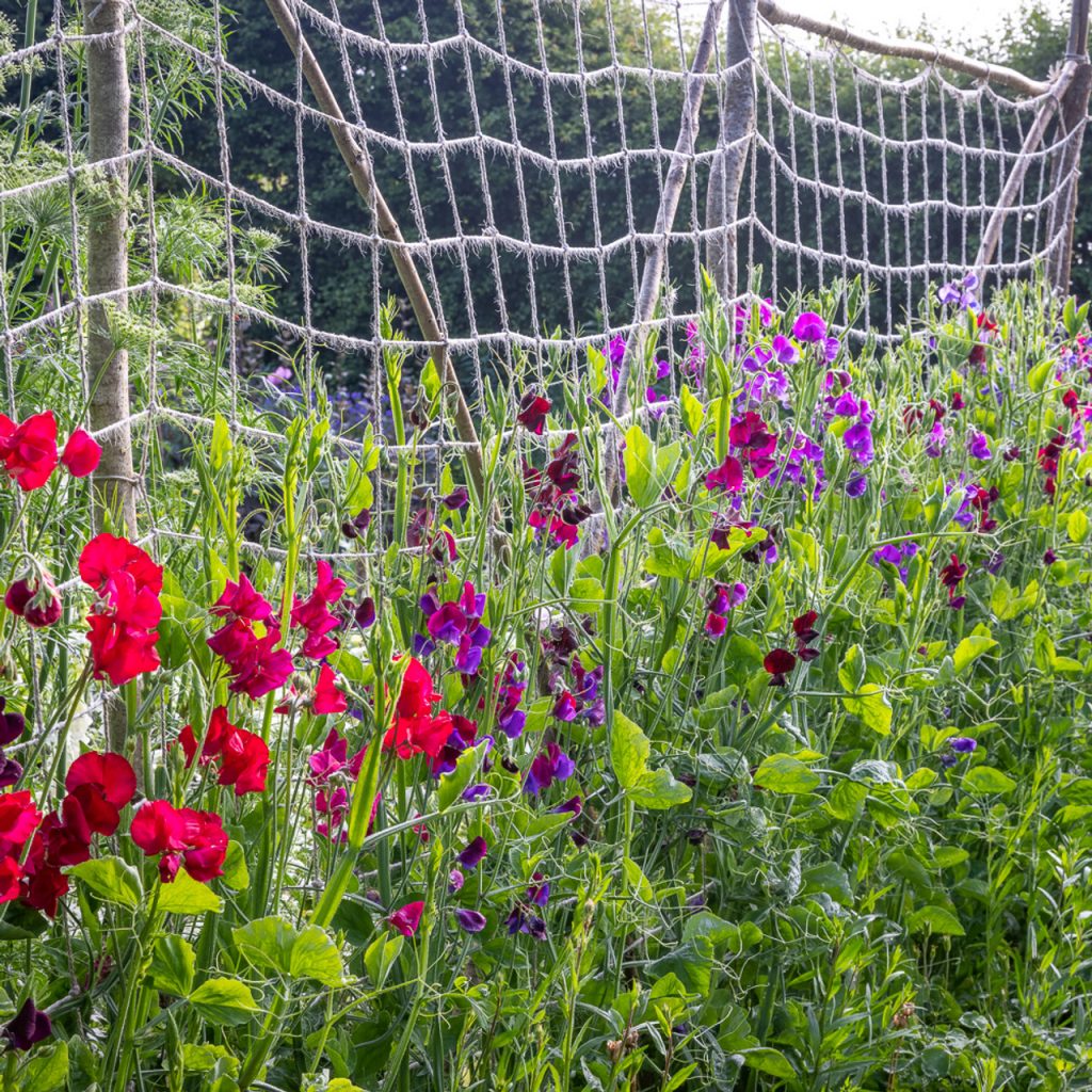 jute netting