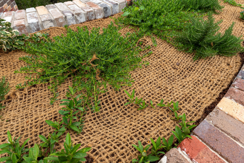 using burlap as weed barrier for gardens