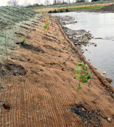 geo jute netting
